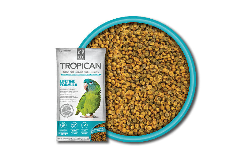 Tropican store parrot food