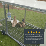 Aussie Chicken Tractor - THREE GREAT SIZES!