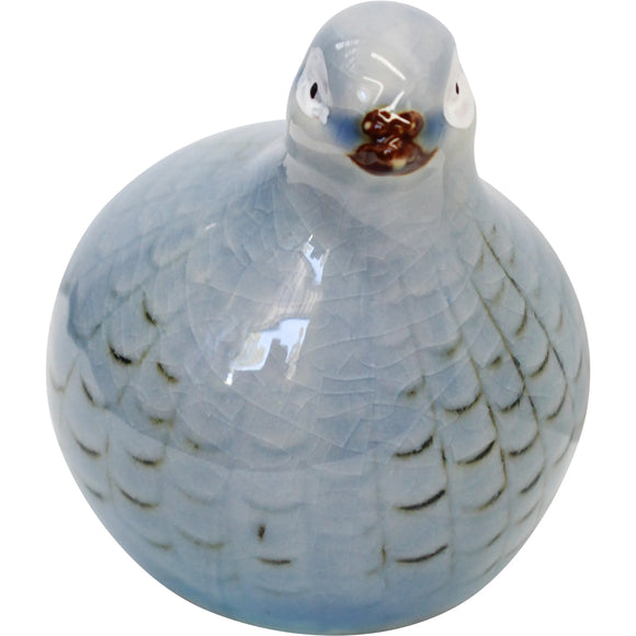 Guinea Quail Petite Soft Blue (A)