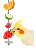 Bird Fruit Stick Holder Kabob