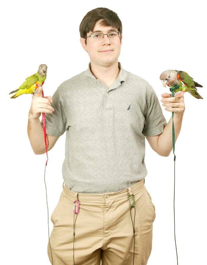 The Aviator Harness and Leash Small Tassie Bird and Poultry Supplies